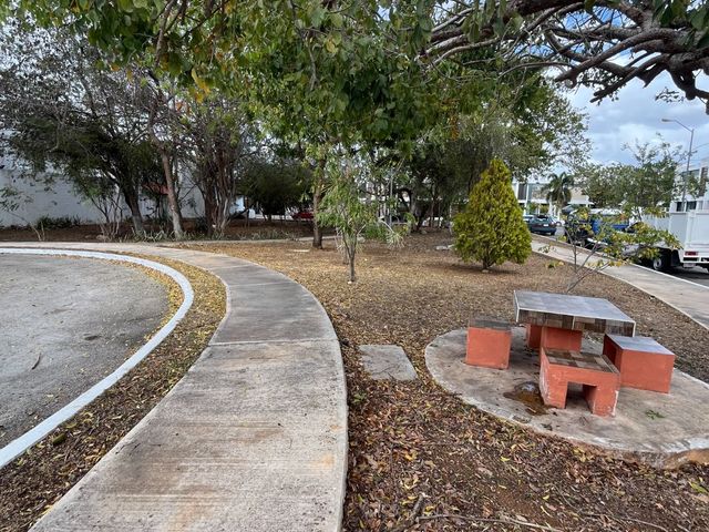 place photo 24