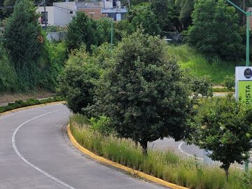 place photo 28