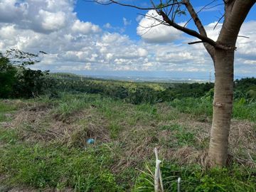 FOR SALE - Vacant Lot in Calabuso, Tagaytay