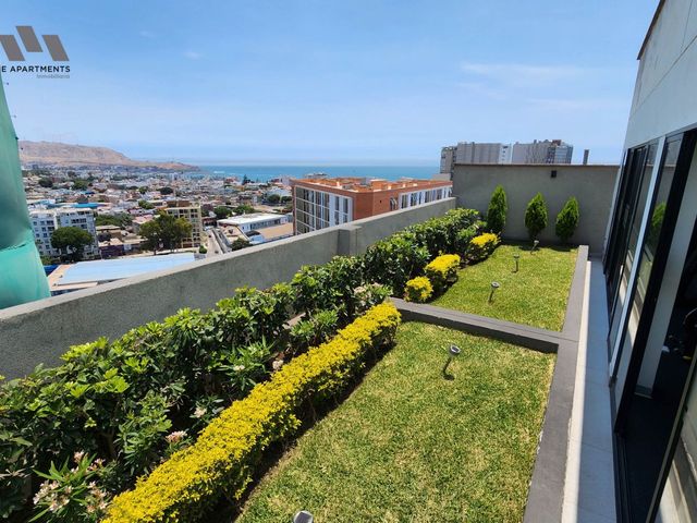 place photo 34