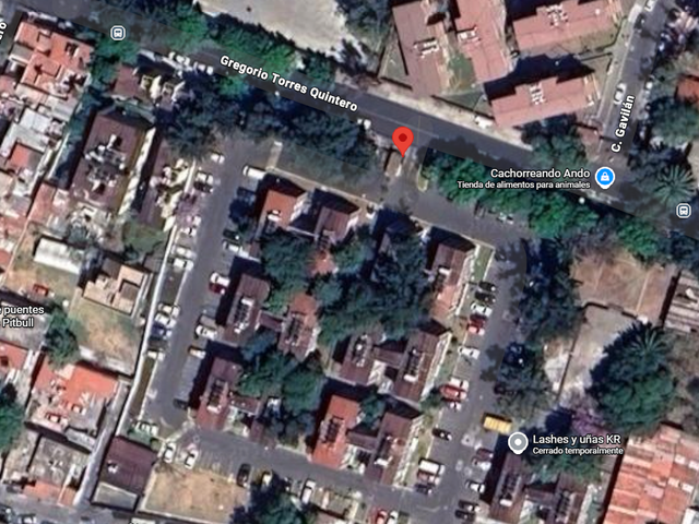 place photo 13