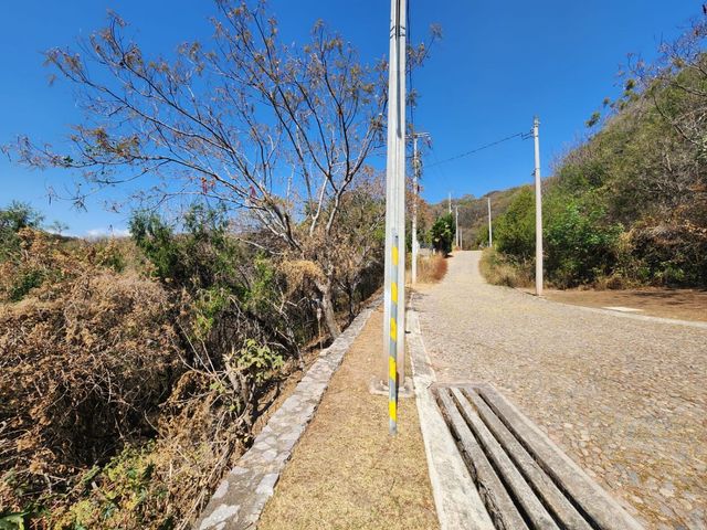 place photo 28