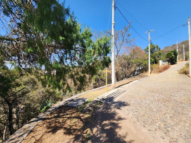 place photo 36