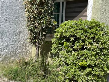 place photo 35