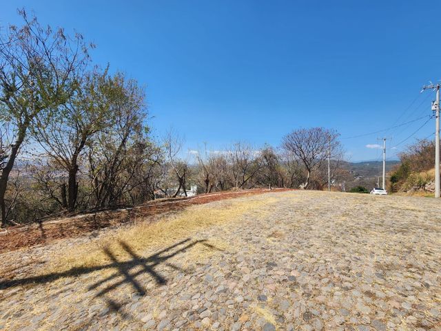 place photo 27