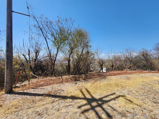 place photo 32