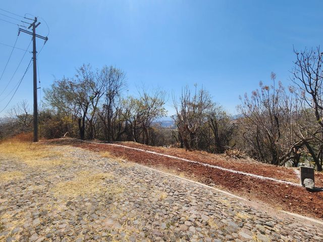 place photo 22