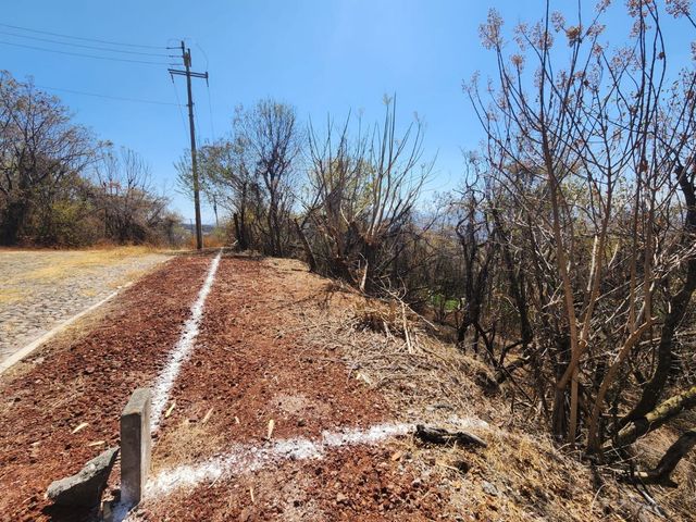 place photo 25