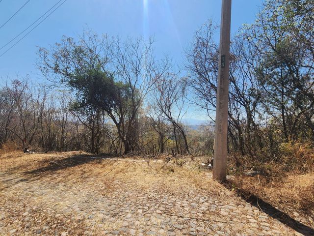 place photo 38