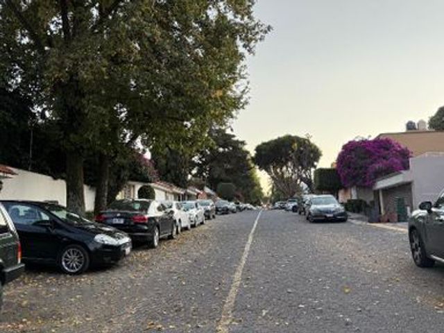 place photo 37