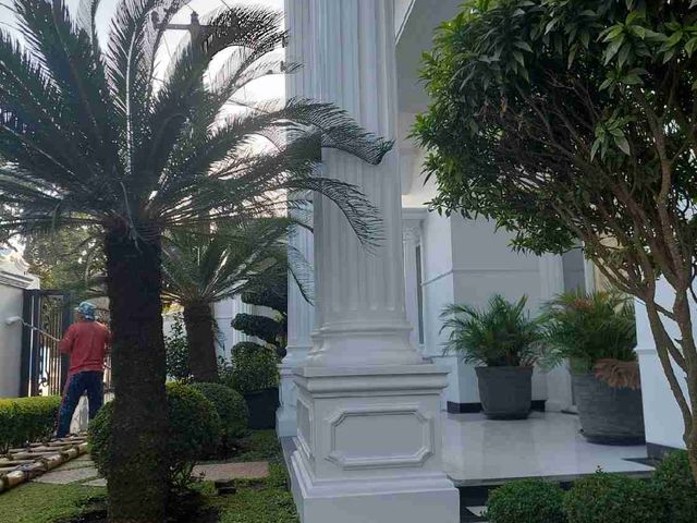 place photo 22