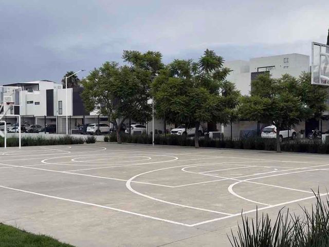 place photo 34
