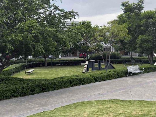 place photo 38