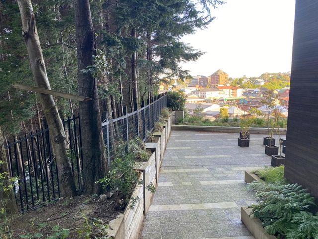 place photo 18