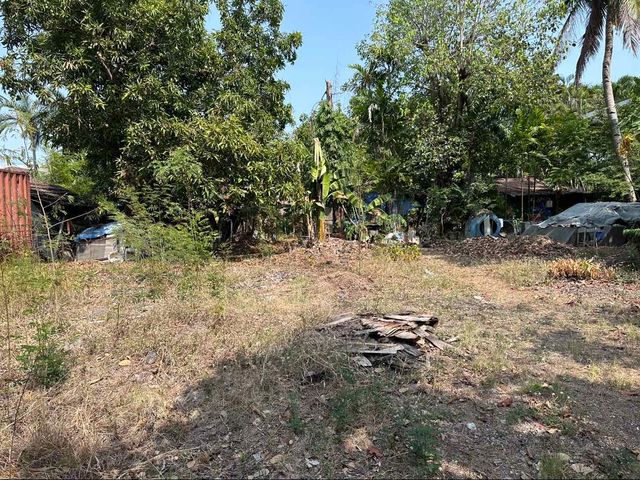 FOR SALE - Fenced Residential Vacant Lot in Ayala Alabang Village, Muntinlupa City