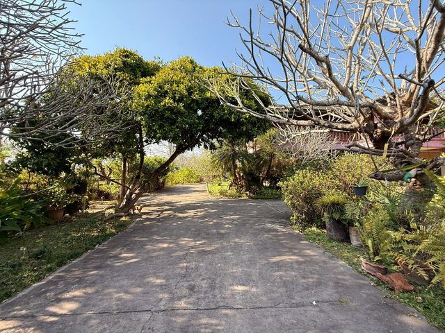 place photo 63