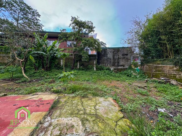 place photo 15