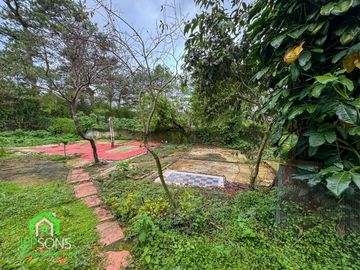 place photo 18