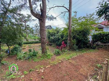 place photo 20