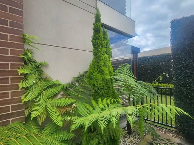 place photo 11