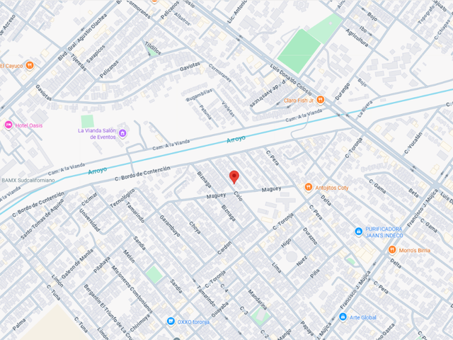 place photo 11