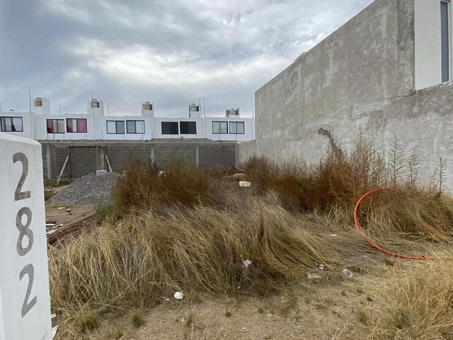 place photo 22