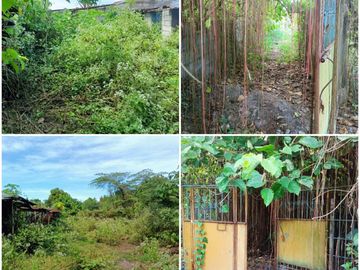 Residential Plot for sale in Capas Tarlac