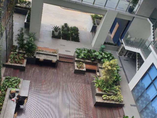 place photo 17