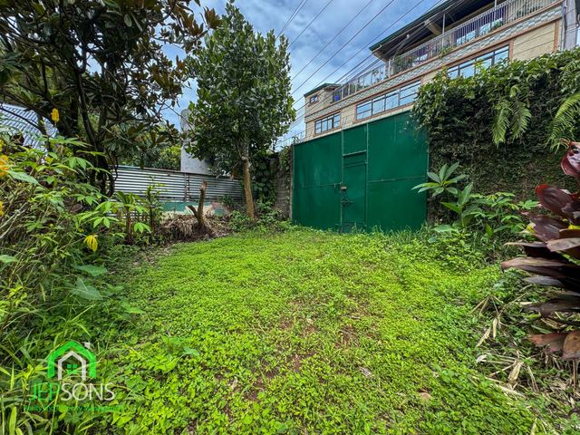 place photo 37