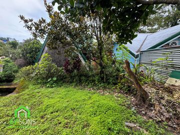 place photo 39