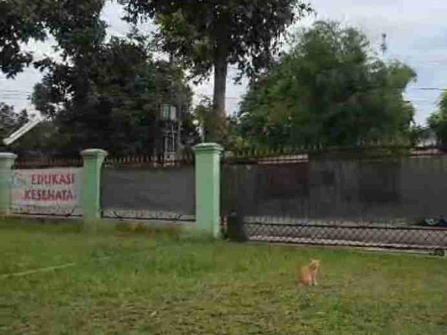 place photo 14