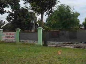 place photo 14