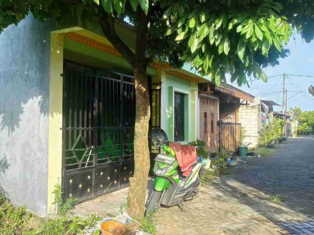 place photo 4