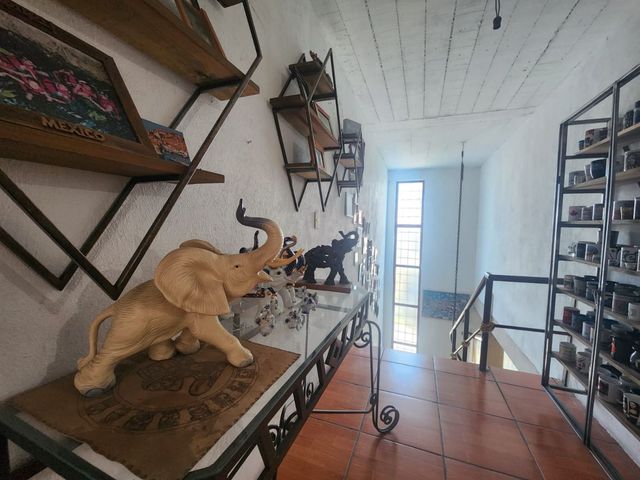 place photo 46