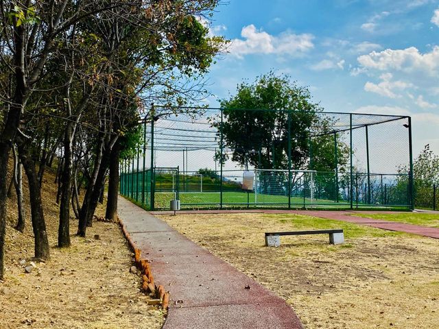 place photo 4