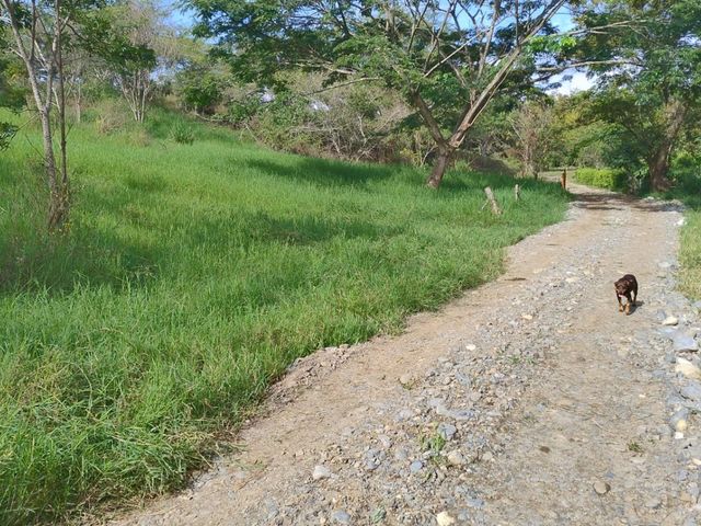 place photo 24