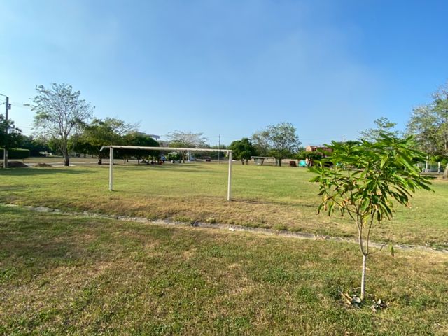 place photo 43
