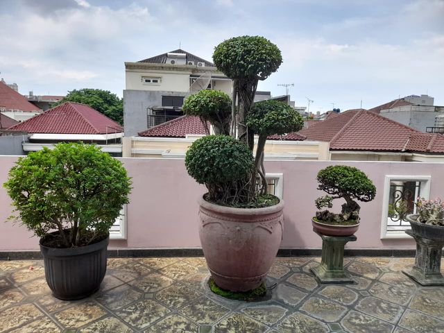 place photo 13