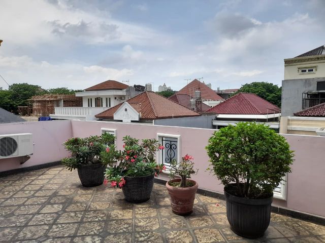 place photo 19