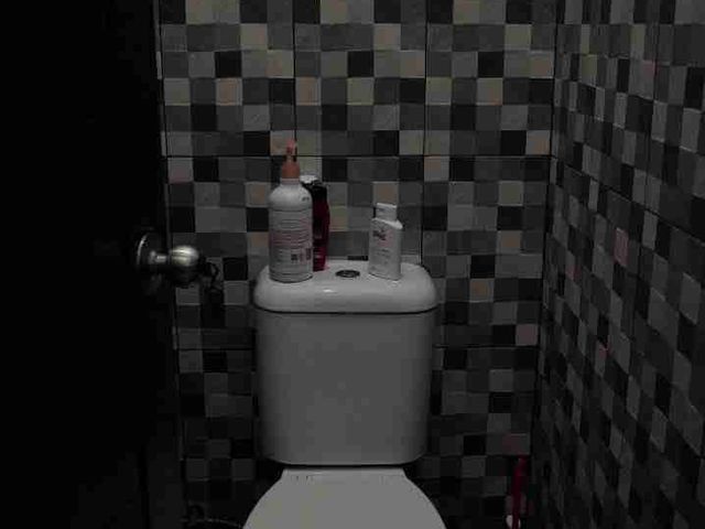 place photo 20