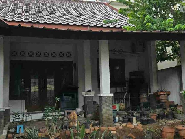 place photo 5