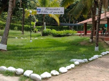 place photo 29