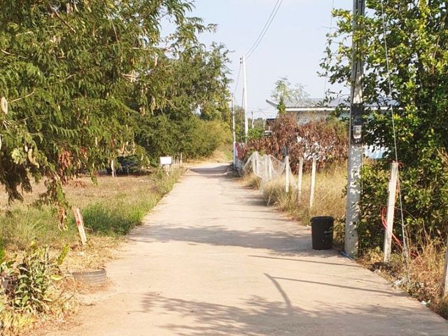 place photo 13
