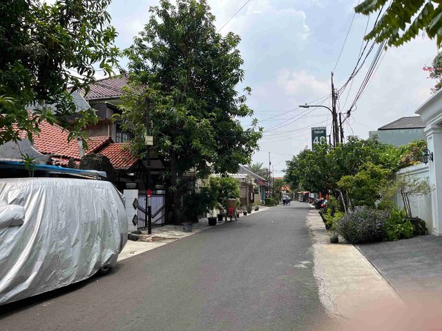 place photo 17