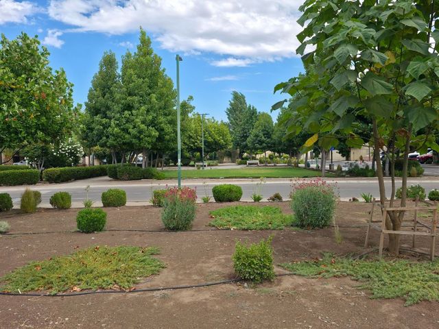 place photo 27