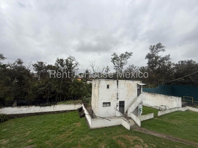 place photo 29