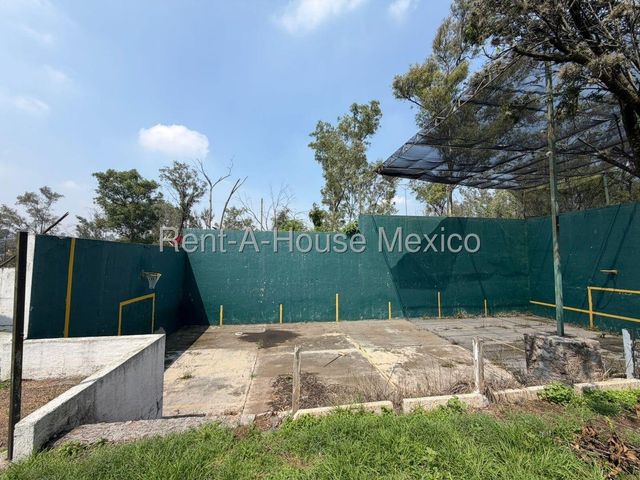 place photo 39