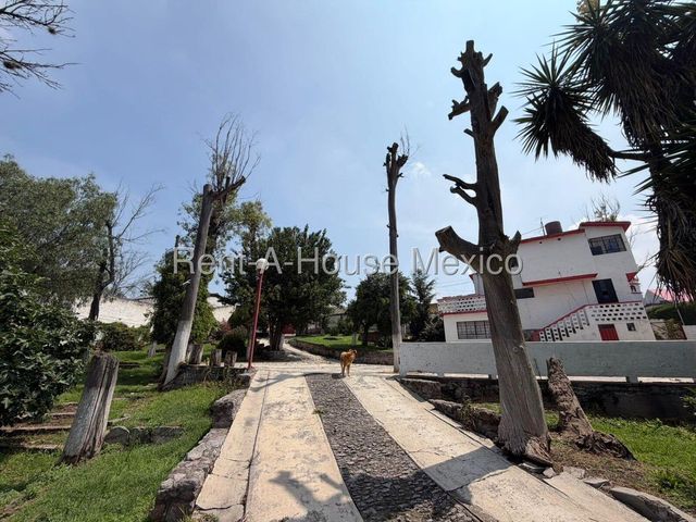place photo 41