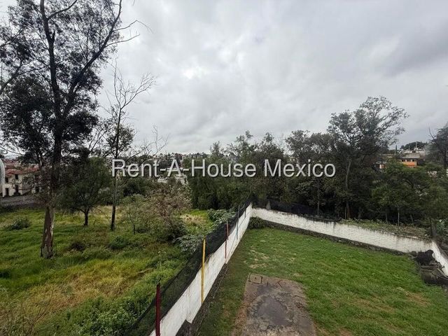 place photo 38
