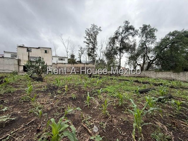 place photo 58